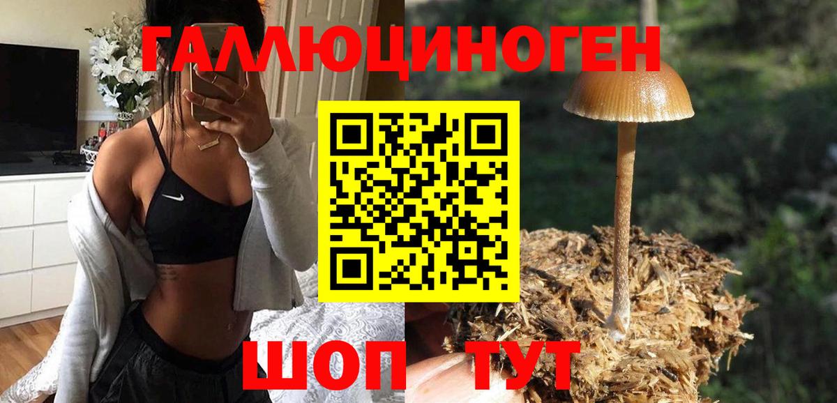 Псилоцибиновые грибы прущие грибы  Вход с VPN  Ноябрьск  цены   Галлюциногенные грибы Psilocybine cubensis 